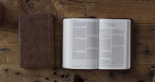 ESV Value Compact Bible, Red Letter (TruTone, Brown)