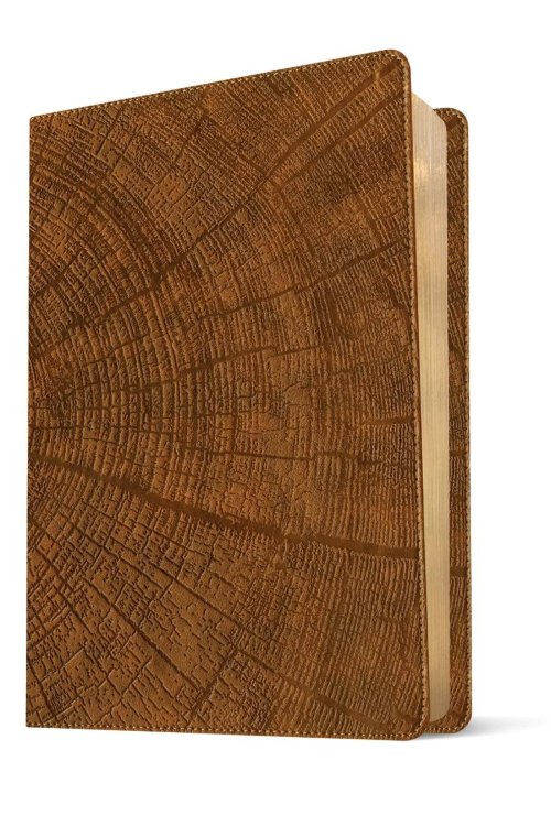 KJV Chronological Life Application Study Bible, Second Edition (LeatherLike, Heritage Oak Camel)