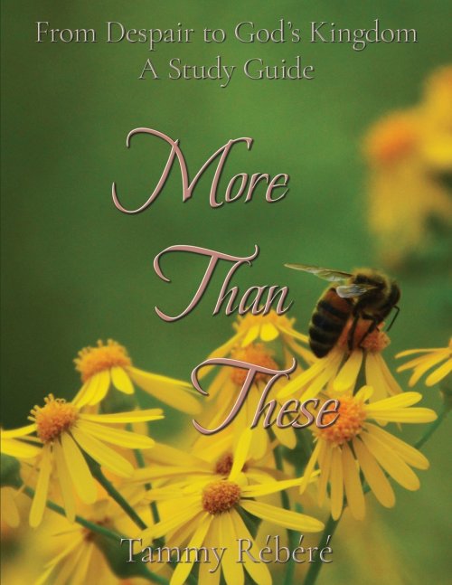 More Than These: From Despair to God's Kingdom