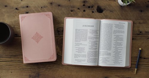 ESV Giant Print Value Personal Size Bible (TruTone, Blush Rose, Fleur-de-lis Design)