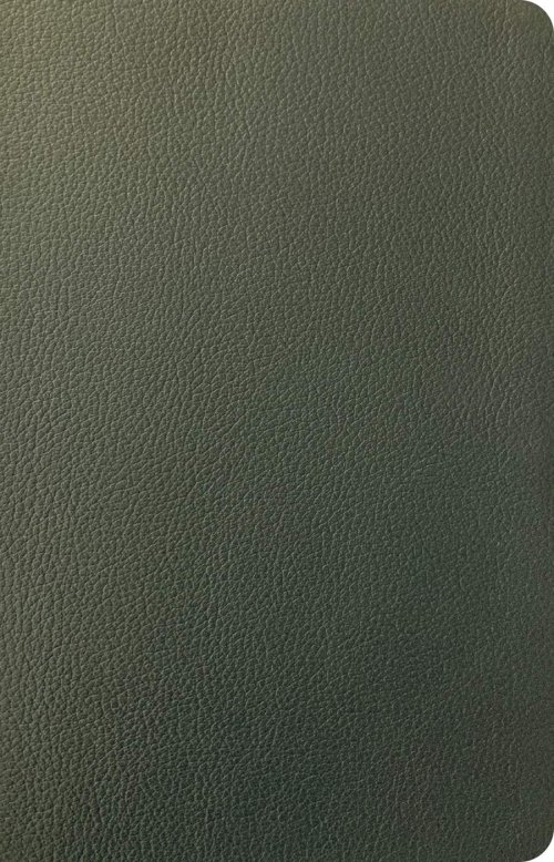 NLT Personal Size Giant Print Bible, Filament Enabled (Genuine Leather, Olive Green, Indexed, Red Letter)