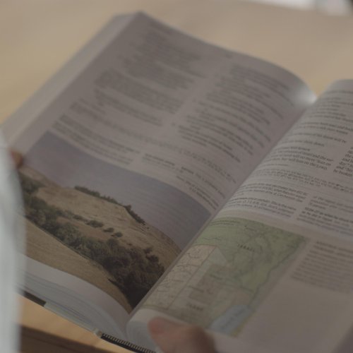 ESV Archaeology Study Bible (TruTone, Brown/Walnut, Portfolio Design)