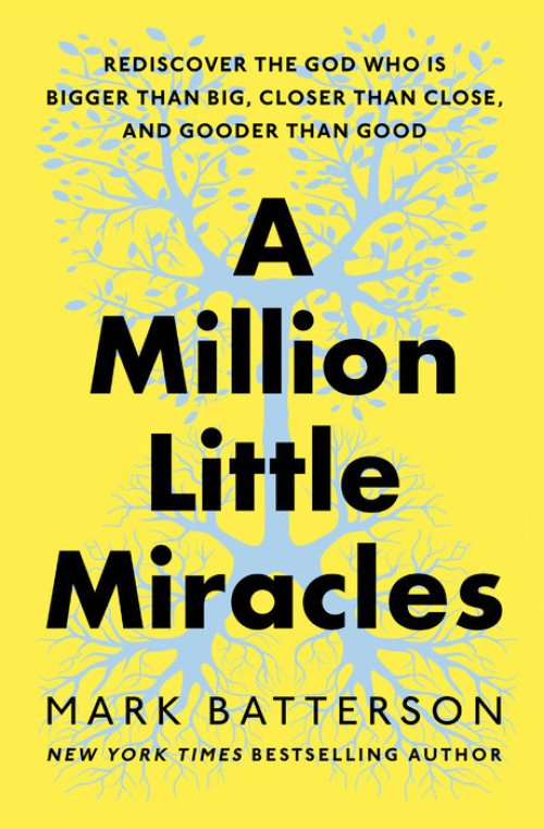 Million Little Miracles, A