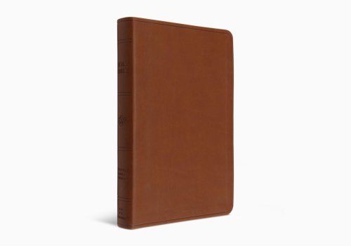 ESV Large Print Value Thinline Bible (TruTone, Camel)