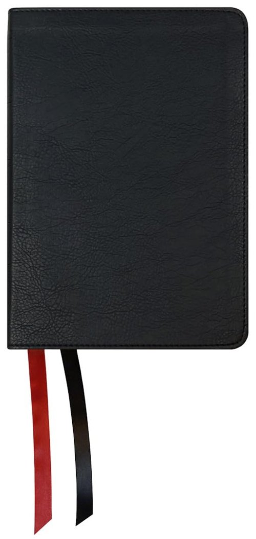 NASB 2020 Large Print Personal Size Bible, Black