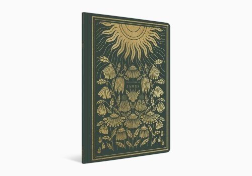 James - ESV Illuminated Scripture Journal