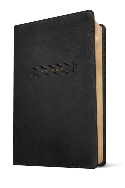 NLT Large Print Thinline Center-Column Reference Bible, Filament Enabled (LeatherLike, Black Holy Windows, Red Letter)