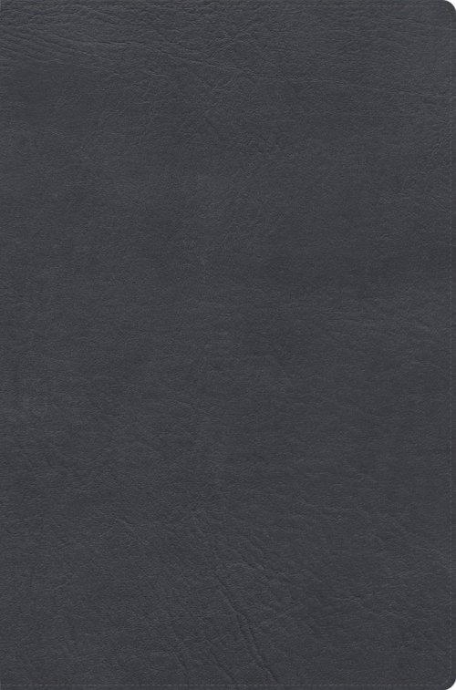 RVR 1960 Biblia De Estudio De Letra Gigante, Negro
