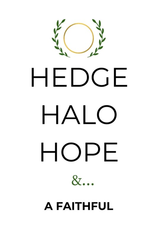 Hedge Halo Hope: A Spiritual Guide to Faith, Finding Inner Peace, and Hope in the Modern World