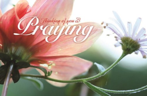 Inspirational Postcard: Thinking of You and Praying (Package of 25)