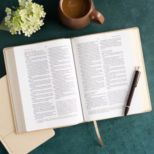 CSB Verse-By-Verse Reference Bible, Digital Study Edition