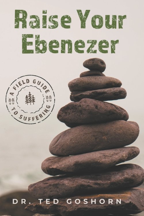 Raise Your Ebenezer: A Field Guide to Suffering