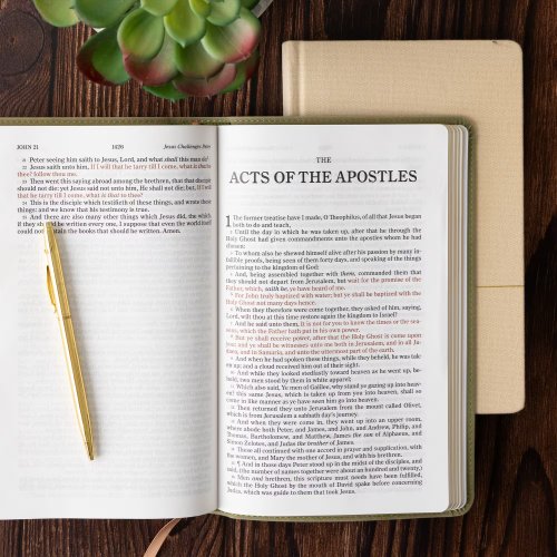 KJV Single-Column Personal Size Bible, Sage Suedesoft