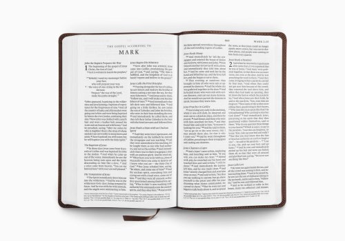 ESV Premium Church Bible, Large Print (TruTone, Brown)