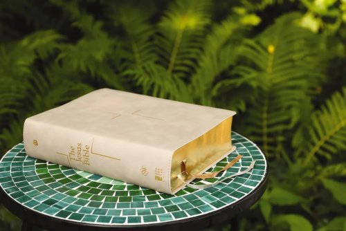 The Jesus Bible, ESV Edition, Leathersoft, Stone
