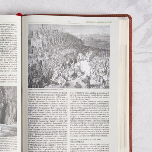 NASB Study Bible, Burnt Sienna Leathertouch