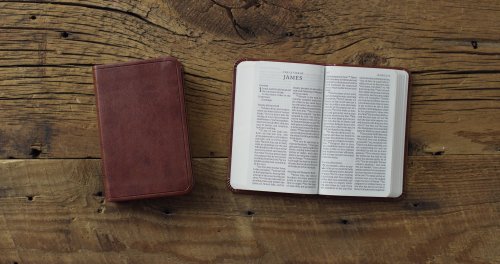 ESV Vest Pocket New Testament with Psalms and Proverbs, Red Letter (TruTone, Chestnut)