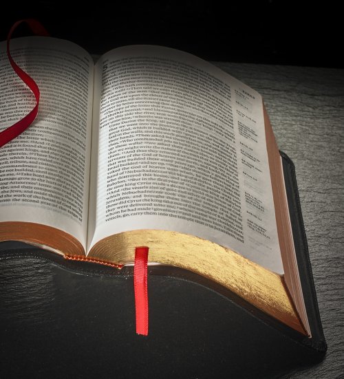 ESV Clarion Reference Bible, Burgundy Buffalo Calfskin Leather, Full Yapp, ES485:XLY