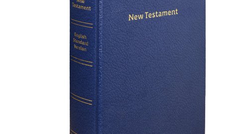 ESV Crystal New Testament