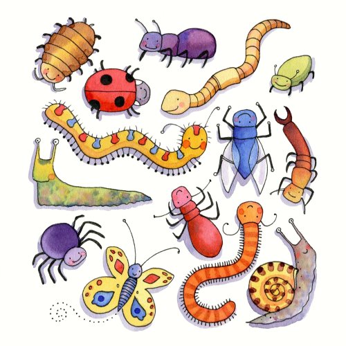 Bugs Birthday Card