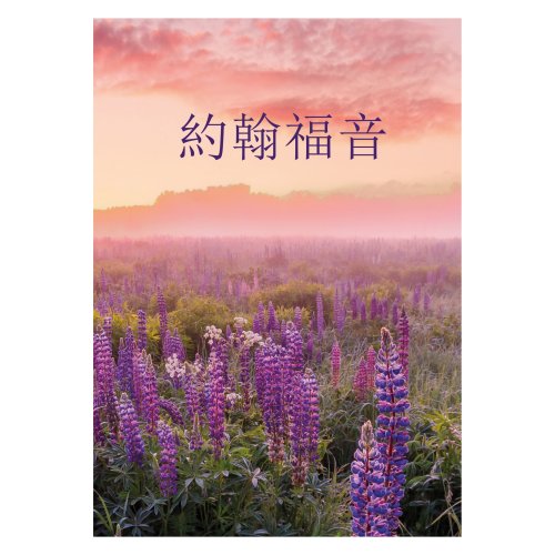 Traditional Chinese Gospel according to John - Paperback