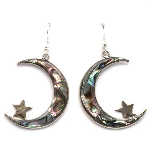 Tinto Lunar Especial Earrings - Abalone