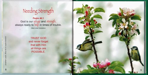 A Bouquet of Promises Book