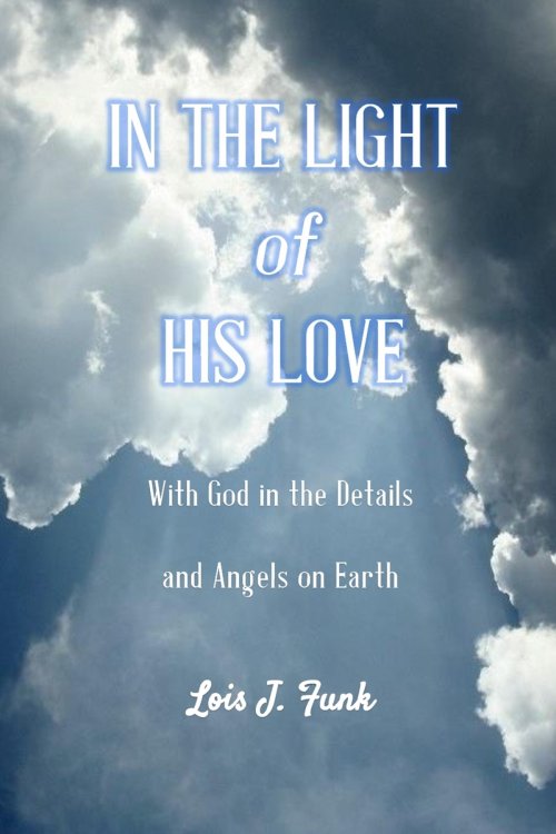 In the Light of His Love: With God in the Details and Angels on Earth