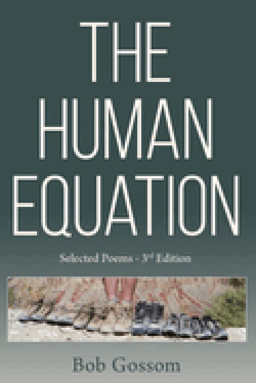 THE HUMAN EQUATION