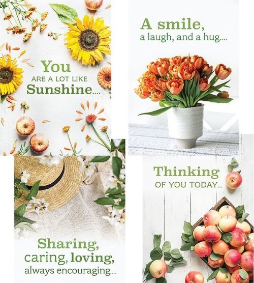 Boxed Card-Sharing Sunshine Assorted (KJV) (Box Of 12)