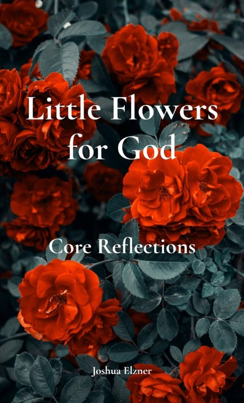 Little Flowers for God: Core Reflections