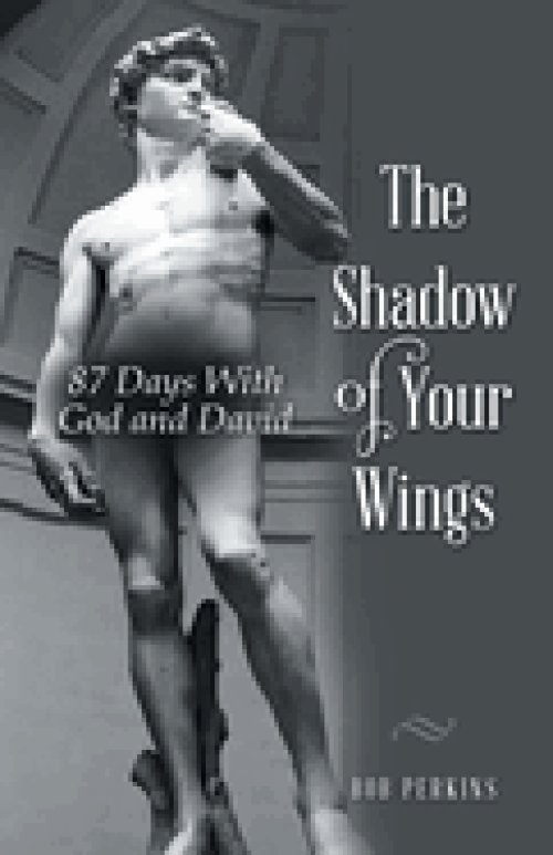 The Shadow of Your Wings: 87 Days With God and David