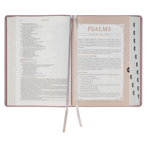 NLT, The Spiritual Growth Bible Faux Leather, Dusty Mauve