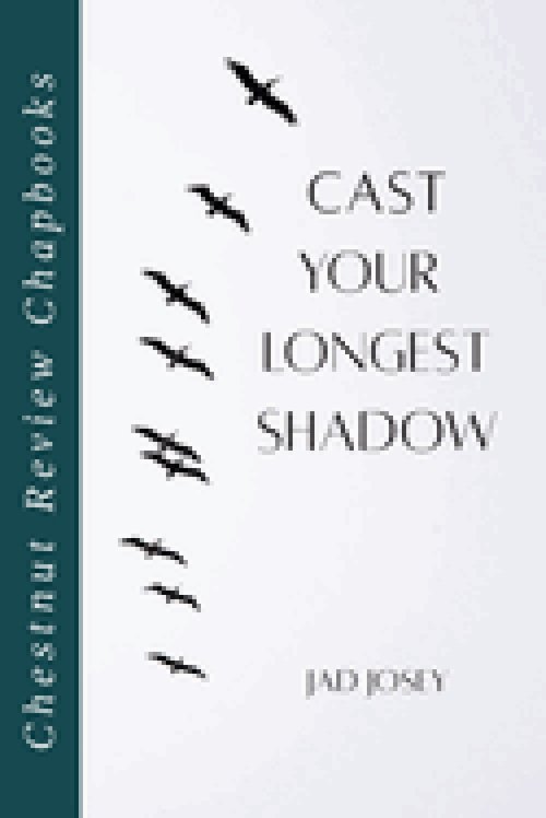 Cast Your Longest Shadow