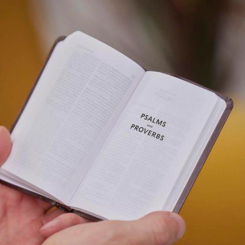 KJV Holy Bible: Pocket New Testament with Psalms and Proverbs, Black Softcover, Red Letter, Comfort Print: King James Version