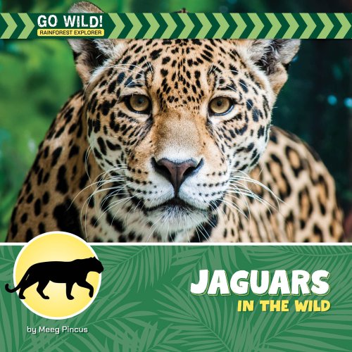 Jaguars In The Wild
