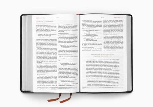 ESV Everyday Gospel Bible