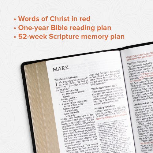 CSB Large Print Compact Reference Bible, Easy-to-Read Optimal Type, Digital Study Edition, Teal LeatherTouch