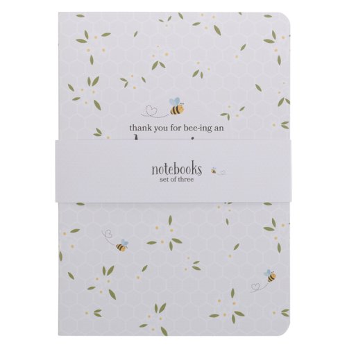 Notebook Set 3pc Amazing Teacher
