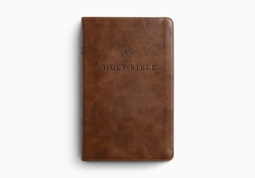 ESV Premium Church Bible (TruTone, Brown)