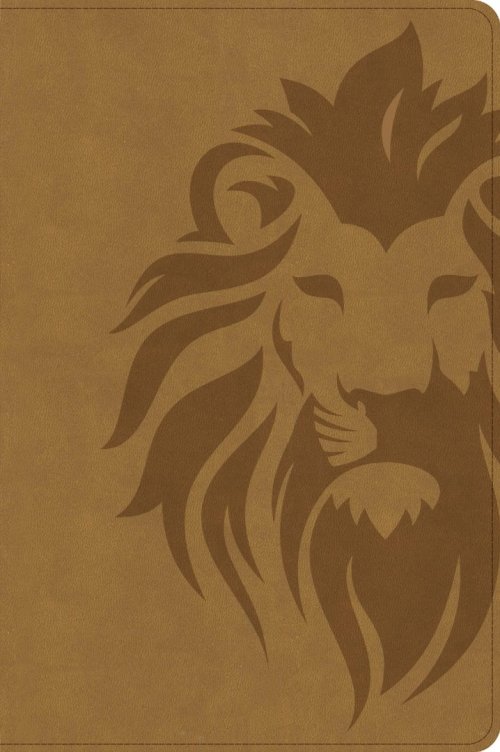 KJV One Big Story Bible, Easy-to-Read Optimal Type, Brown