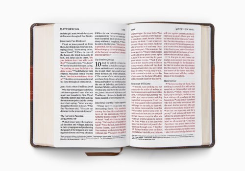 ESV Giant Print Personal Size Bible, Red Letter (TruTone, Forest/Tan, Trail Design)