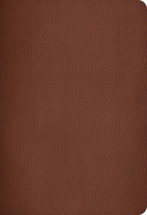 NLT Super Giant Print Bible, Filament Enabled (Genuine Leather, Brown, Red Letter)
