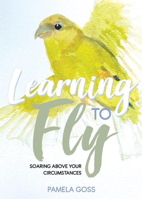 Learning to Fly: Soaring above Your Circumstances