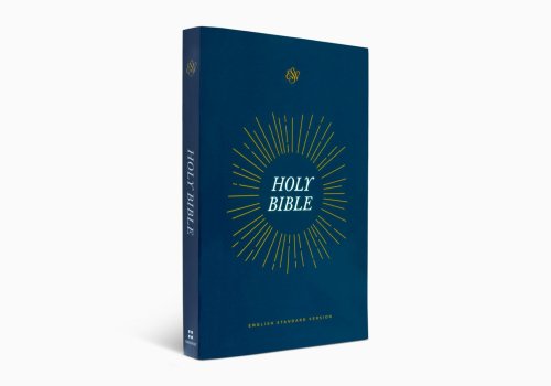 ESV Share the Good News Outreach Bible (Paperback)