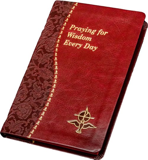 Book - Praying For Wisdom Every Day