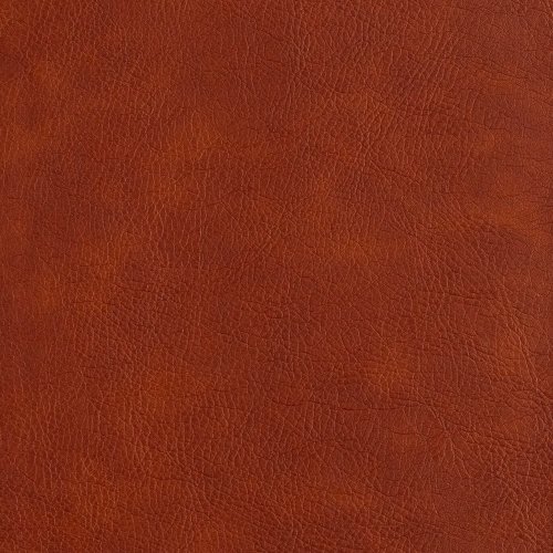 NASB Study Bible, Burnt Sienna Leathertouch