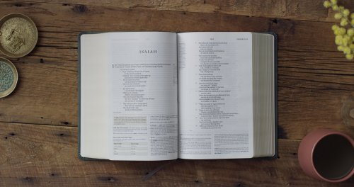 ESV Study Bible, Personal Size (TruTone, Quiet Forest, Ornament Design)