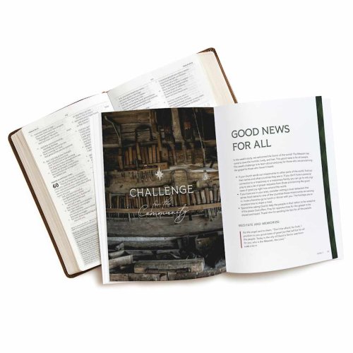 Behold the Savior Bible Study Book