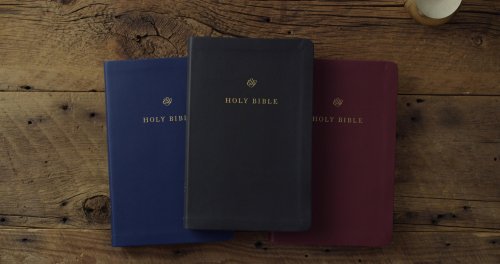ESV Gift and Award Bible (TruTone, Black)